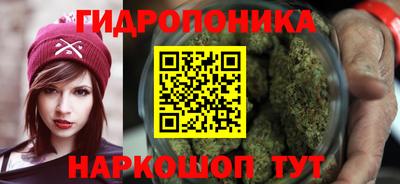 индика Коломна